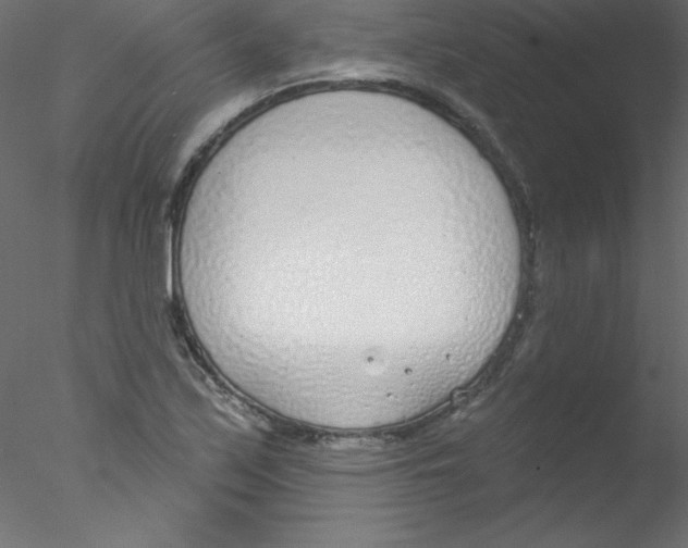 X0000076401171200611031714