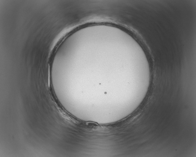 X0000076401175200611031714