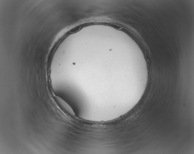 X0000076401176200611031714