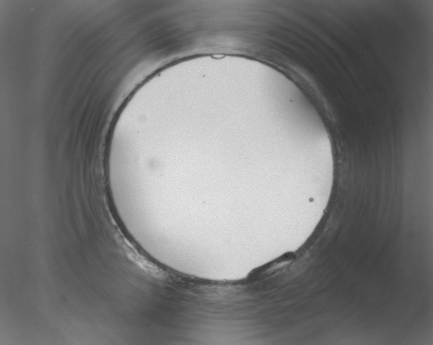 X0000076401192200611031714