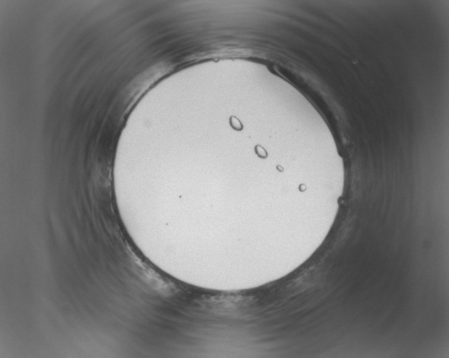 X0000076401193200611031714