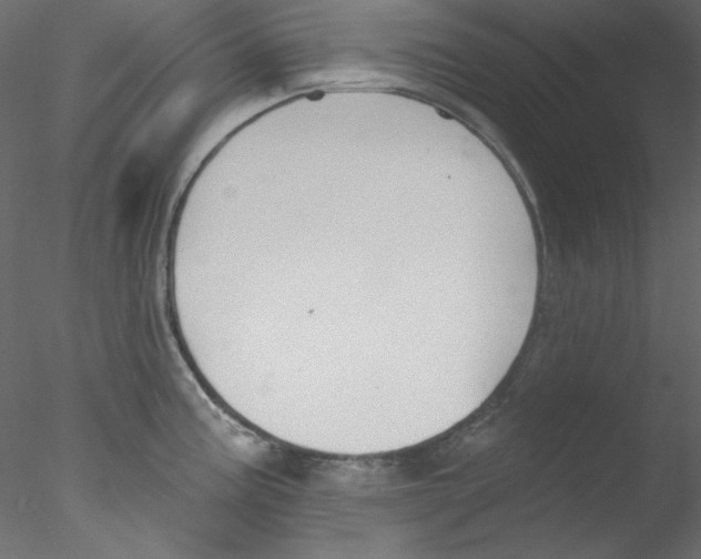 X0000076401195200611031714