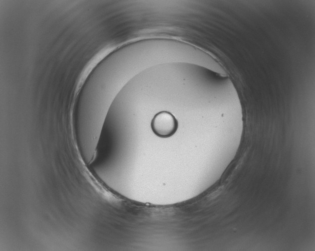 X0000076401196200611031714