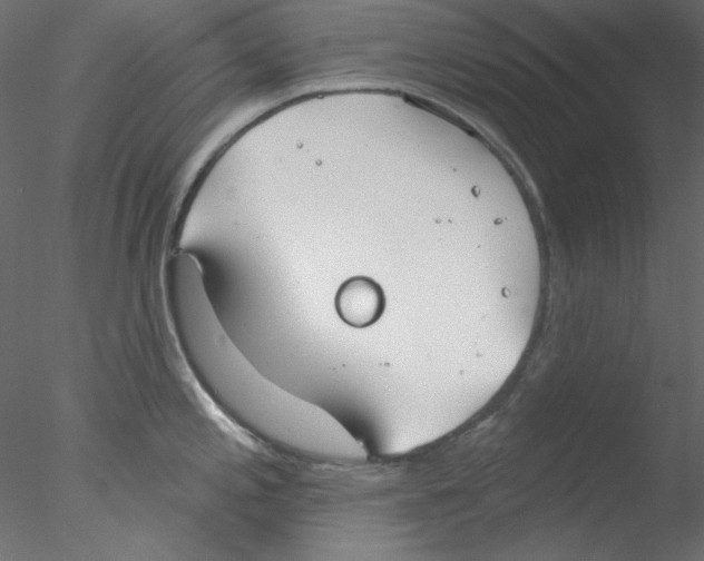 X0000076401197200611031713