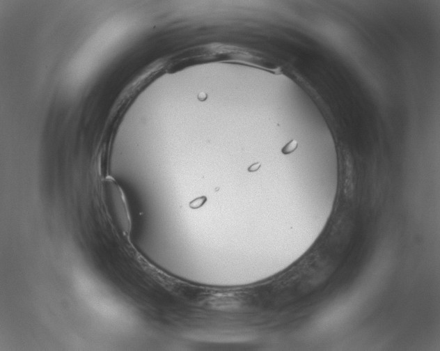 X0000076401198200611031713