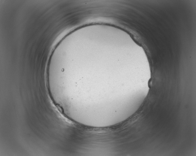 X0000076401199200611031713