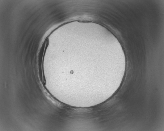 X0000076401200200611031713