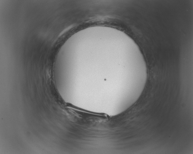 X0000076401206200611031713