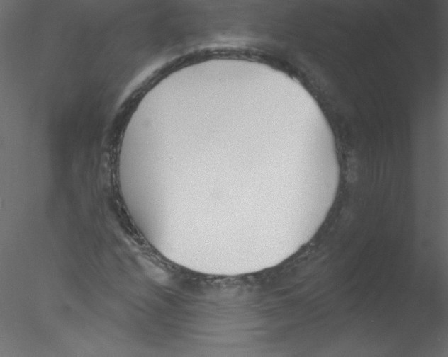 X0000076401208200611031713