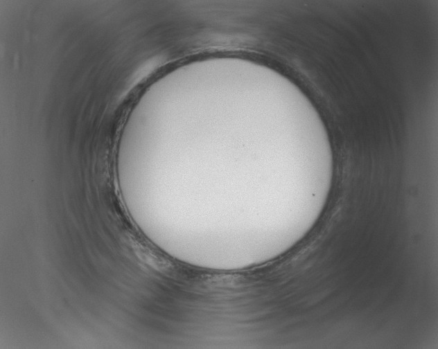 X0000076401211200611031713