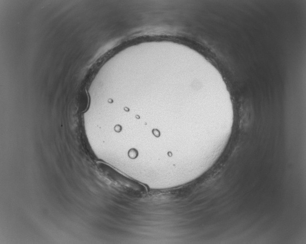 X0000076401213200611031713