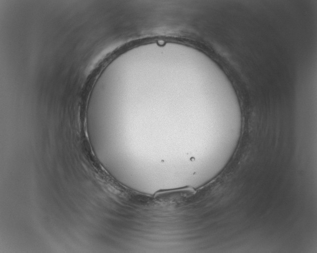 X0000076401214200611031713