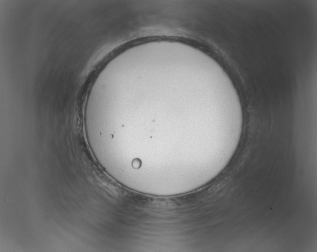 X0000076401215200611031713