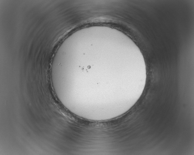 X0000076401217200611031713