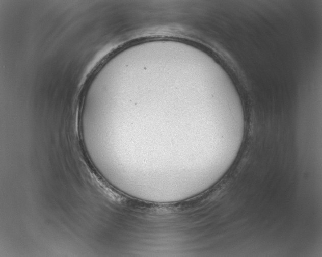 X0000076401224200611031713