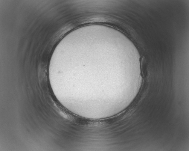 X0000076401225200611031713