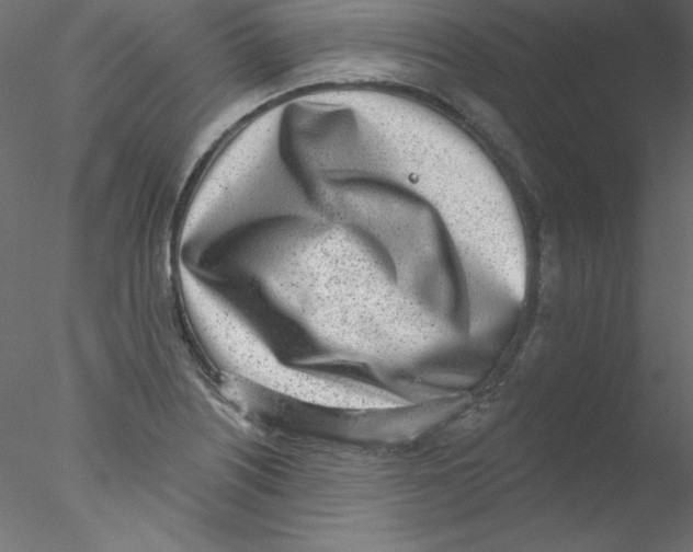 X0000076401226200611031713