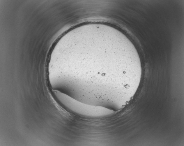 X0000076401229200611031713