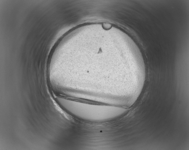 X0000076401231200611031713