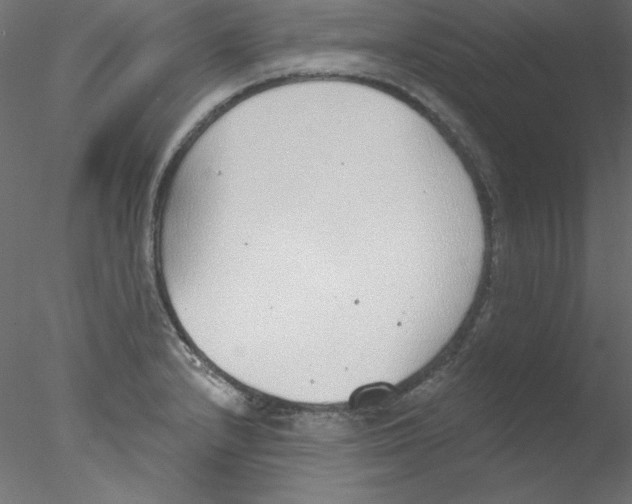 X0000076401232200611031713