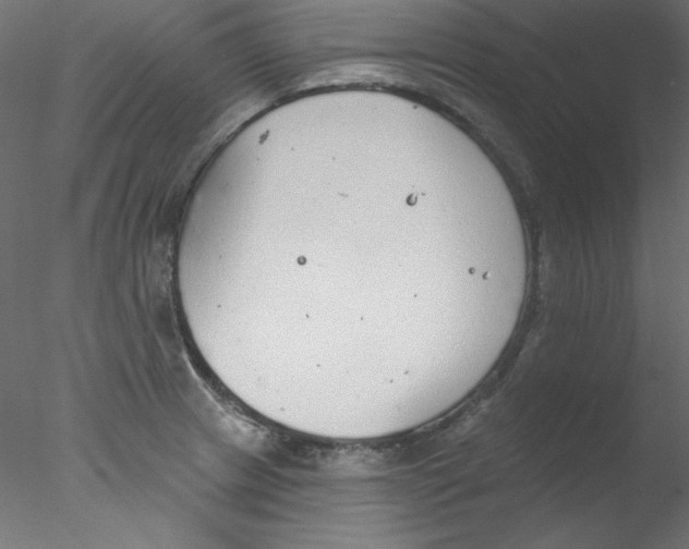 X0000076401233200611031713