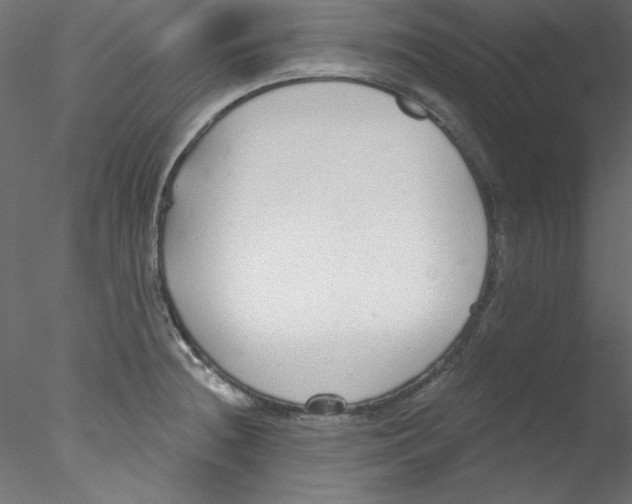 X0000076401236200611031713