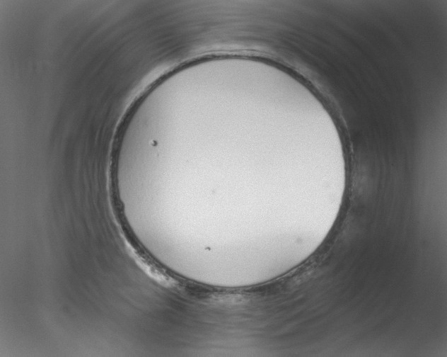 X0000076401237200611031713