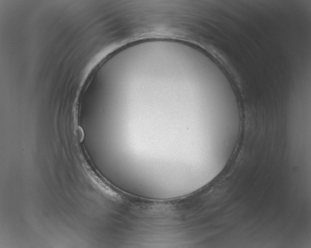 X0000076401238200611031713