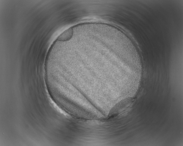 X0000076401239200611031713