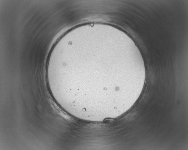 X0000076401240200611031713