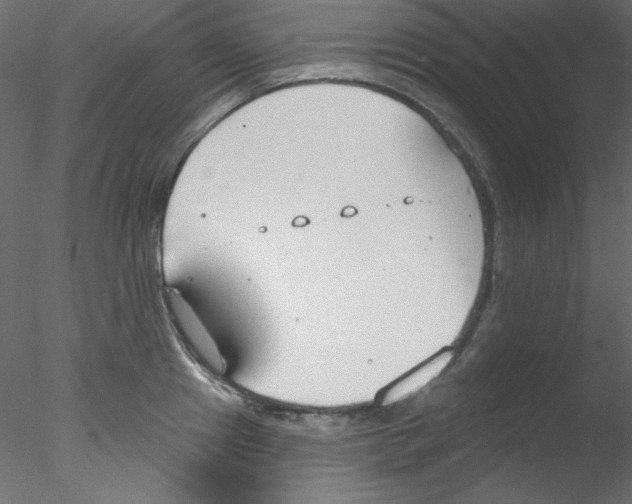 X0000076401241200611031713