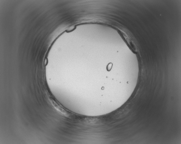 X0000076401242200611031713