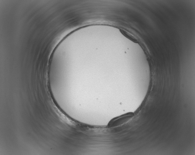 X0000076401244200611031713