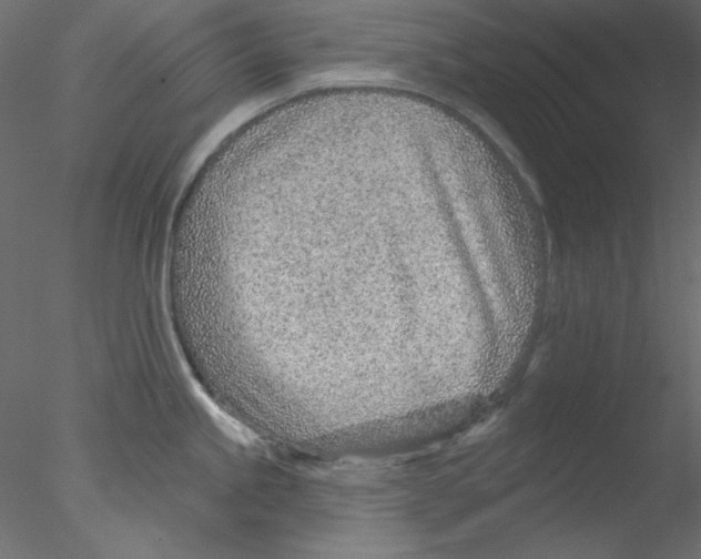 X0000076401245200611031713