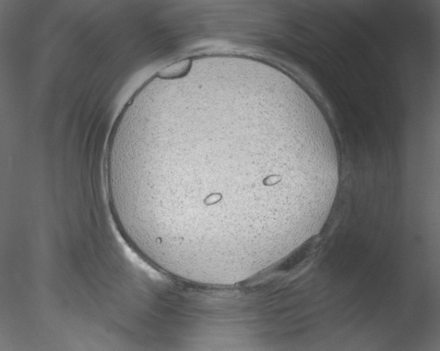 X0000076401247200611031713