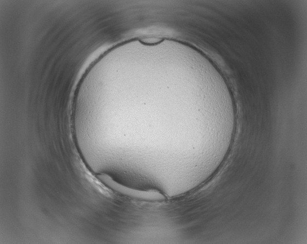 X0000076401248200611031713