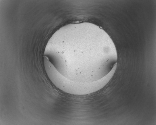 X0000076401249200611031713