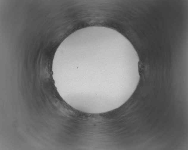 X0000076401250200611031713