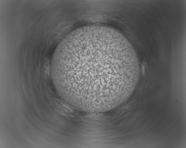 X0000076401251200611031713