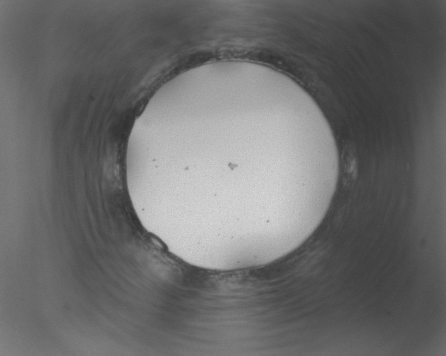 X0000076401252200611031713