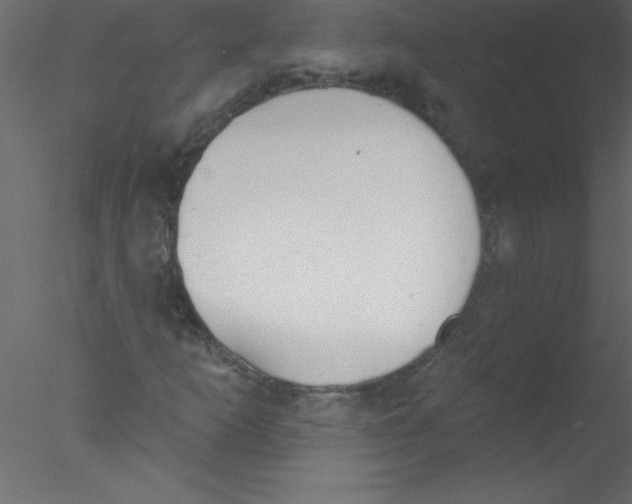 X0000076401253200611031713