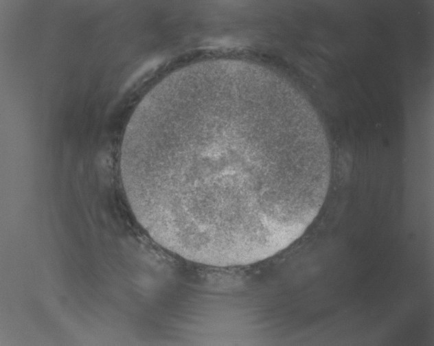 X0000076401254200611031713