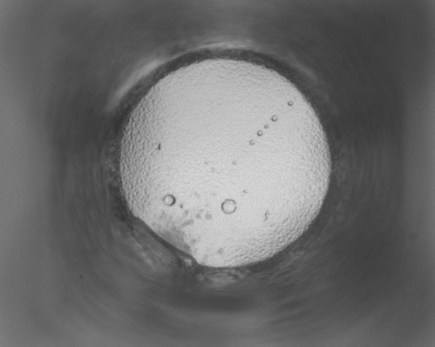 X0000076401255200611031713