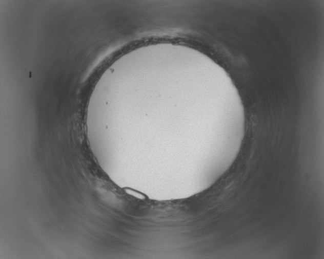 X0000076401256200611031713