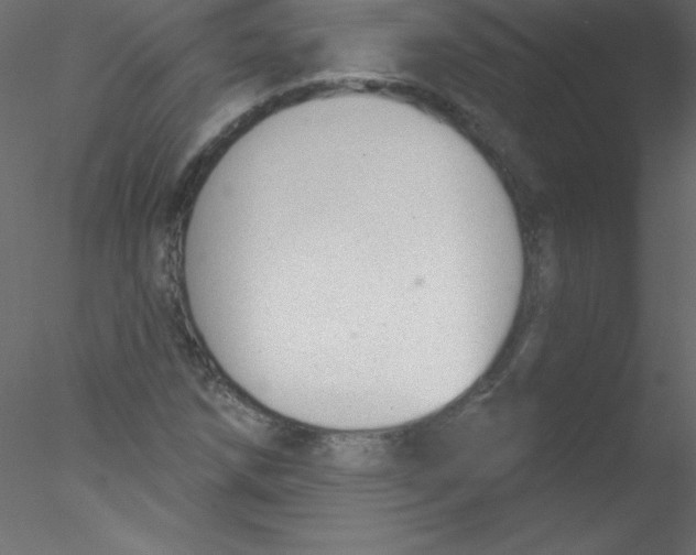 X0000076401258200611031712