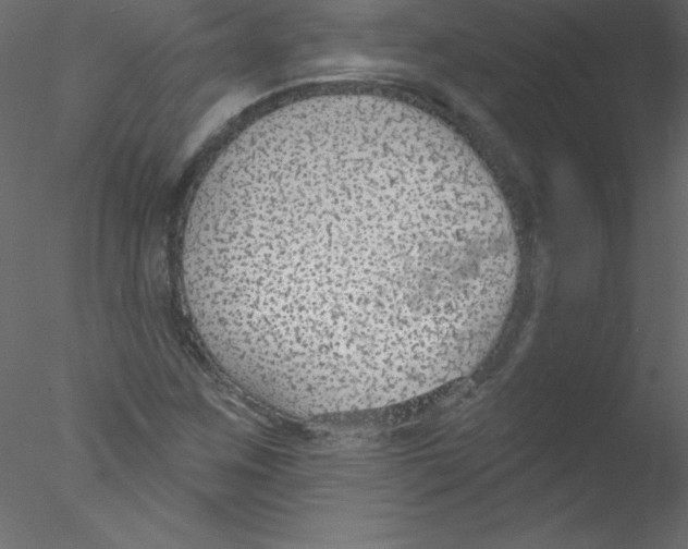 X0000076401259200611031712