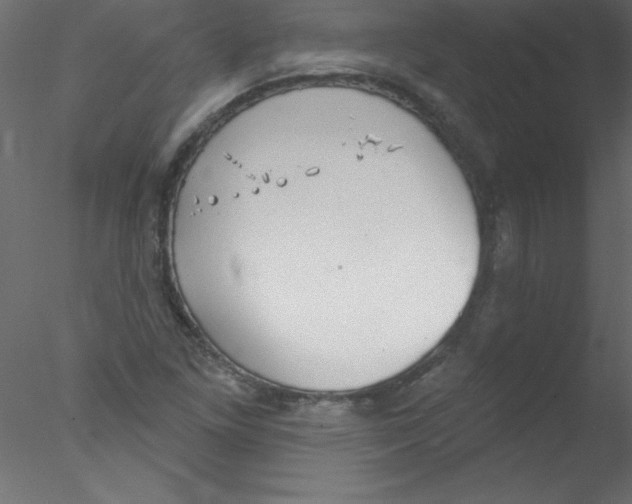 X0000076401261200611031712