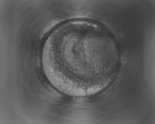 X0000076401262200611031712