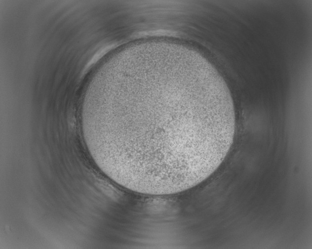 X0000076401266200611031712