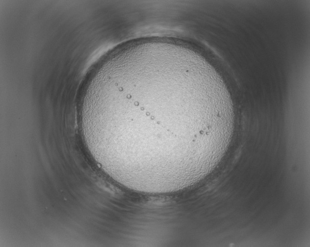 X0000076401267200611031712